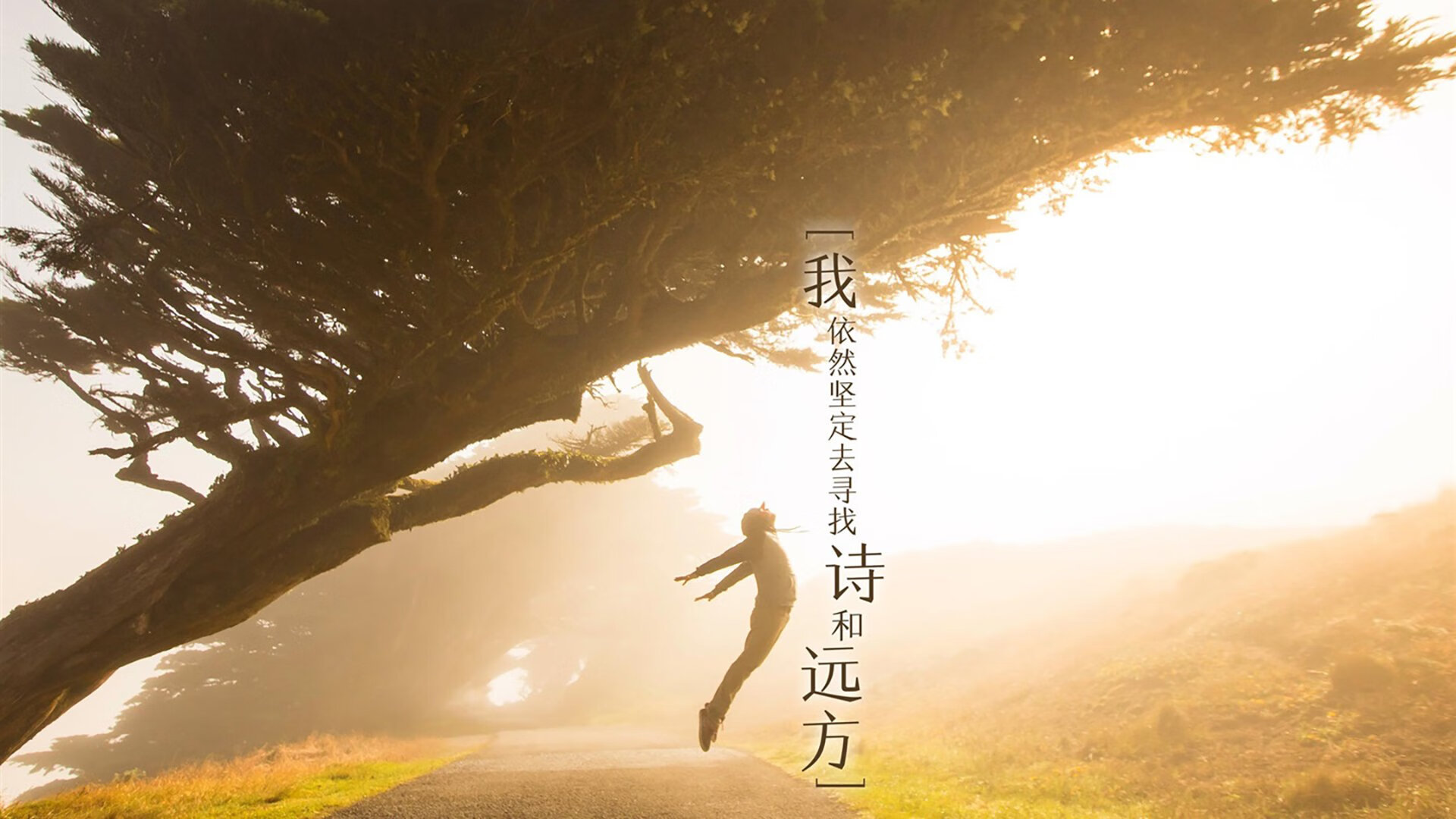 德里赫特惊艳四座，冰岛收割玻利维亚，个人英雄与团队铁壁的时代交响