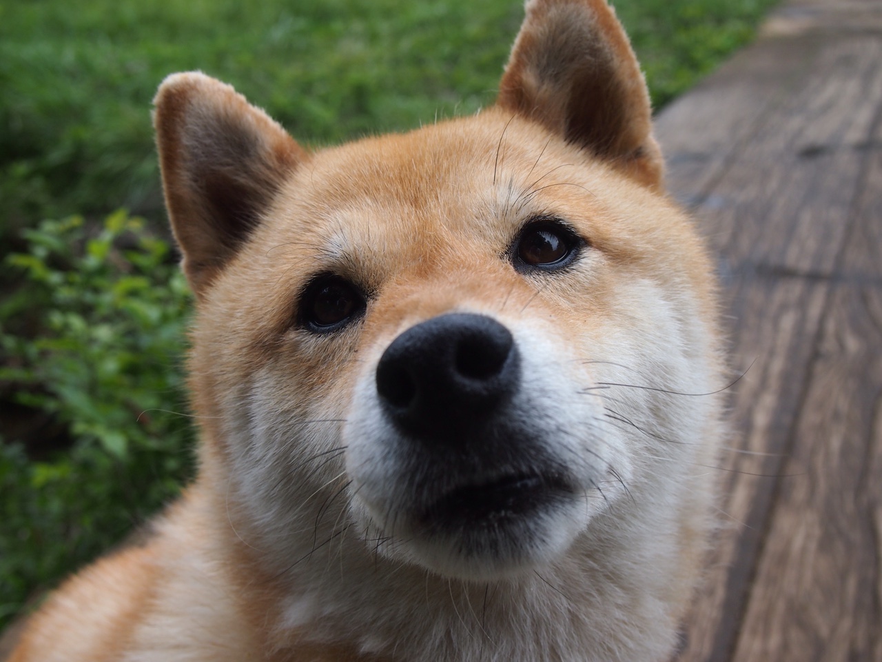 开云-F1街道赛焦点战，老鹰的节奏艺术如何将开拓者的锋芒锁入牢笼？